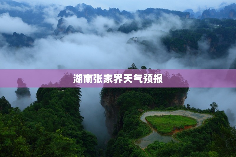 东风半截车的费用图片/东风半截子车