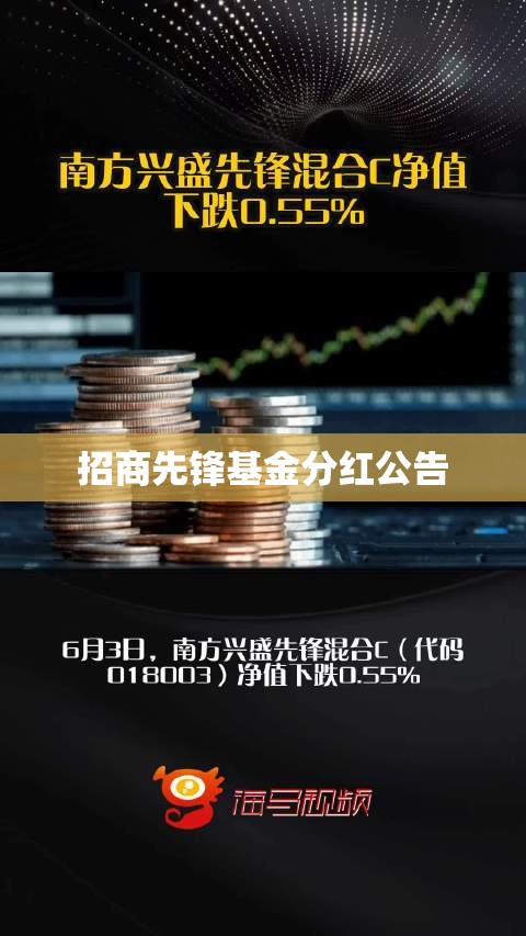 毛绒玩具熊图片/毛绒玩具熊图片头像
