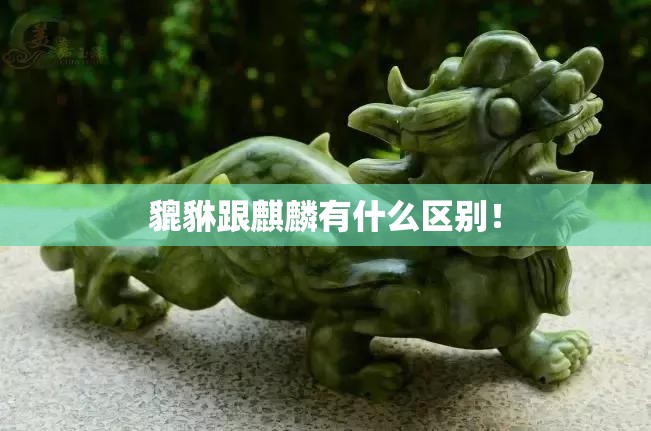 c国是指哪个国家？