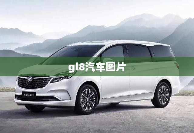 【gl8汽车图片,gl8全部车型介绍】