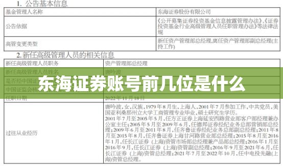 长城c50暗病