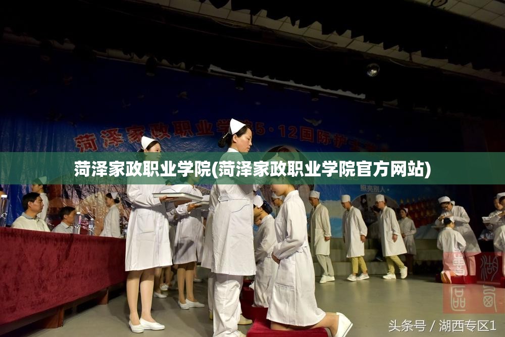 菏泽家政职业学院(菏泽家政职业学院官方网站)