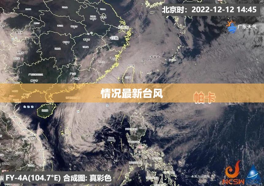 情况最新台风(最新台风预报)
