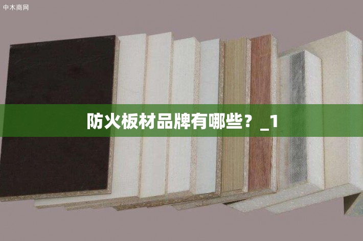 【凸轮轴承,凸轮轴承随动器】