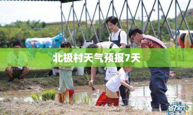 北极村天气预报7天/北极村天气预报40天