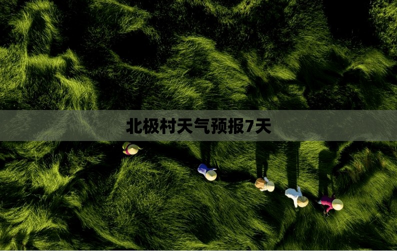 北极村天气预报7天/北极村天气预报40天