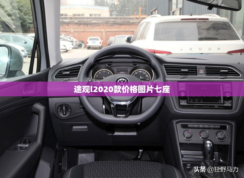 途观l2020款费用图片七座(途观2021款新款图片七座)
