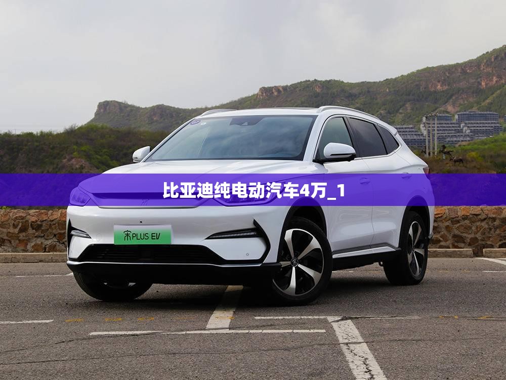 比亚迪纯电动汽车4万_1