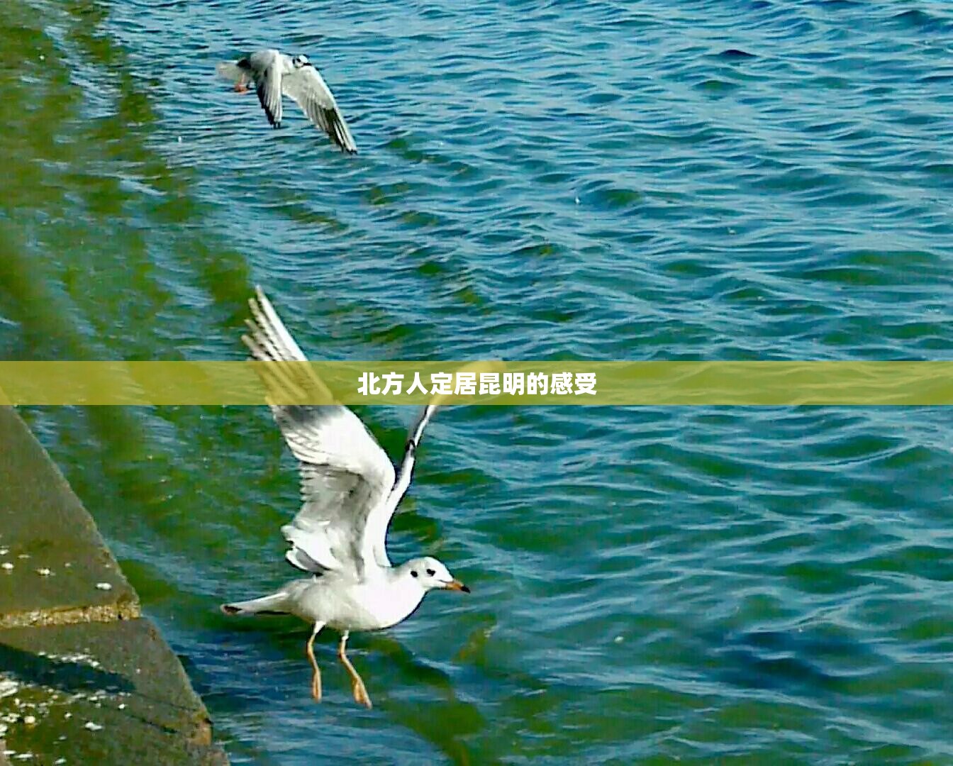 2020年10月天气预报(2020年十月份天气)
