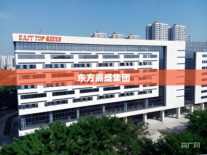 东方嘉盛集团/东方嘉盛集团最新消息