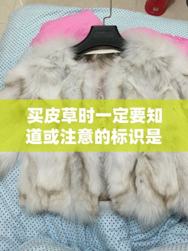 北京现代伊兰特2005款多少钱