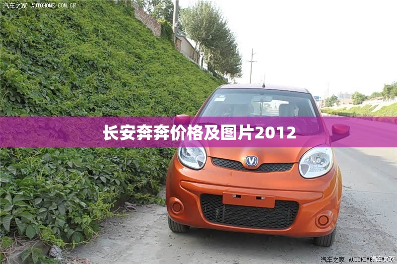 【长安奔奔费用及图片2012,长安奔奔汽车2012费用】