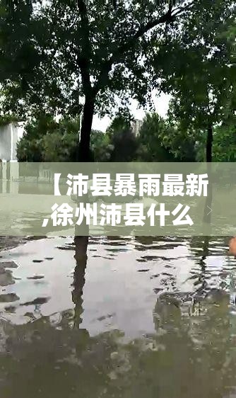 【沛县暴雨最新,徐州沛县什么时候有雨】