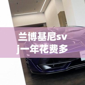 【如何提高驾驶技术水平,怎样提高驾驶水平】