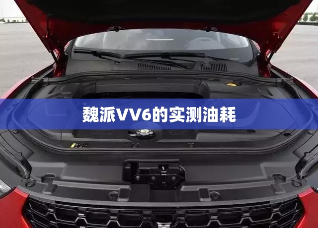 魏派VV6的实测油耗