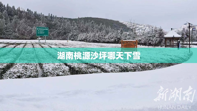 湖南桃源沙坪哪天下雪