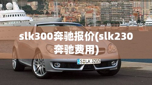 slk300奔驰报价(slk230奔驰费用)
