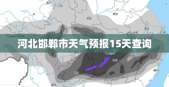 三胎概念龙头股有哪些