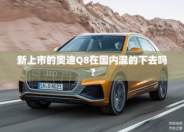 新上市的奥迪Q8在国内混的下去吗？
