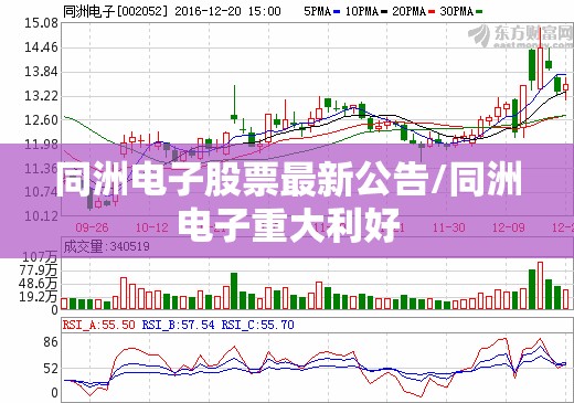 保定定兴明天会下雨吗