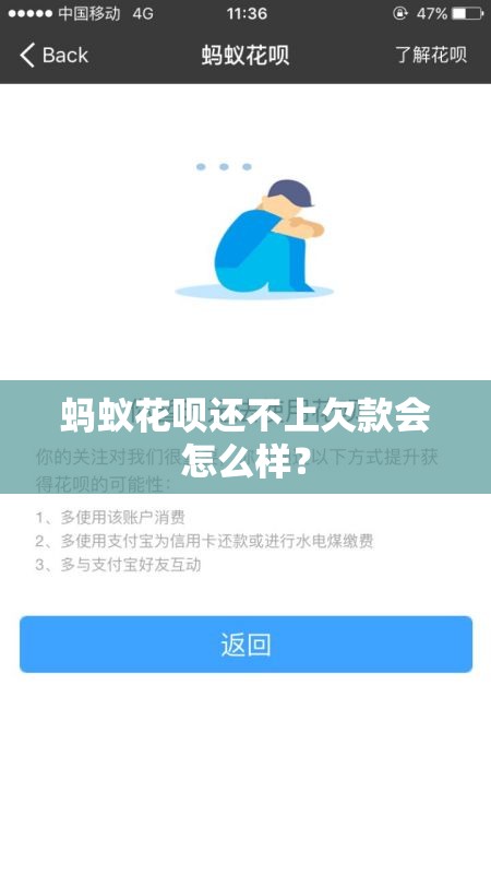 蚂蚁花呗还不上欠款会怎么样？
