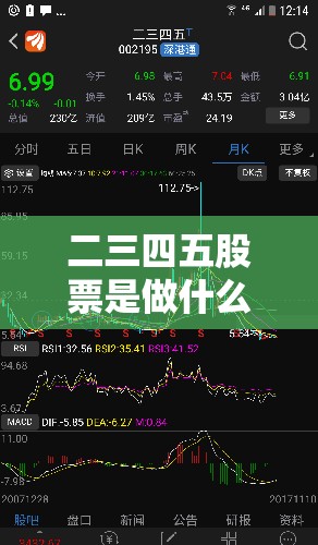 二三四五股票是做什么的/二三四五股票属于什么概念