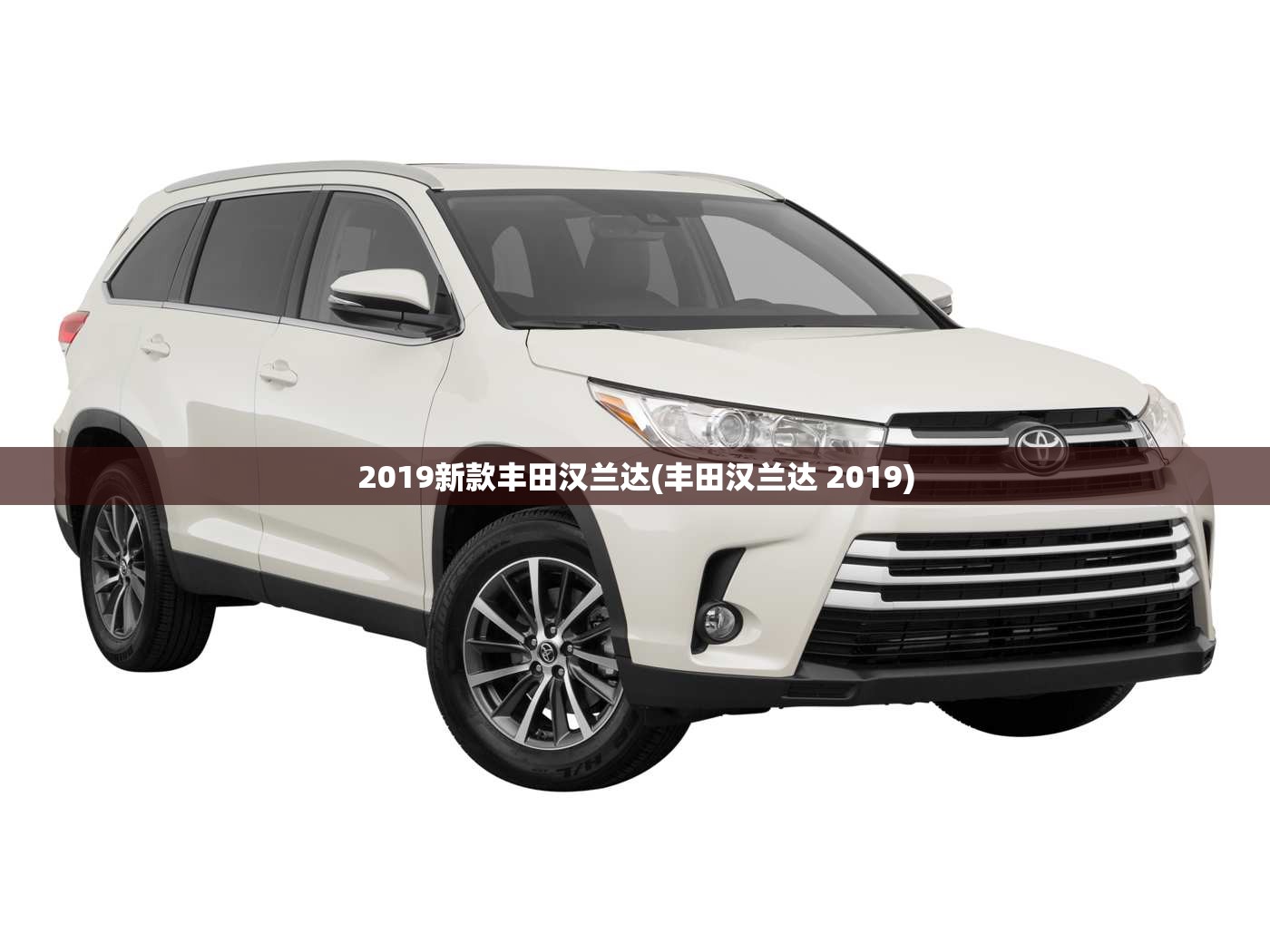 养基宝是什么_1