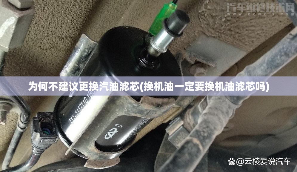 为何不建议更换汽油滤芯(换机油一定要换机油滤芯吗)