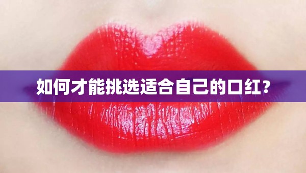 2019新款丰田汉兰达(丰田汉兰达 2019)