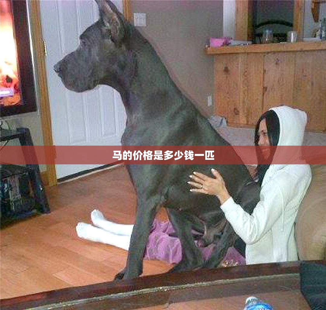 中国铁物重组为什么是利空