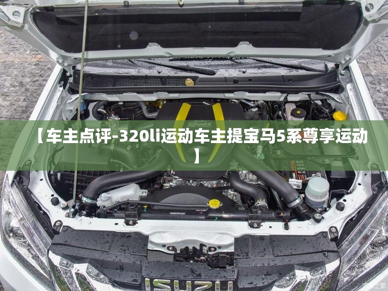 能干的手办娃娃/手办娃娃是用什么做的