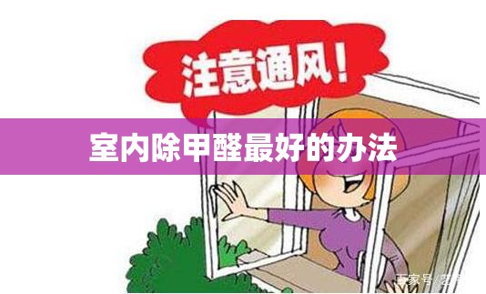 【室内除甲醛比较好的办法,清除甲醛的最佳方法】