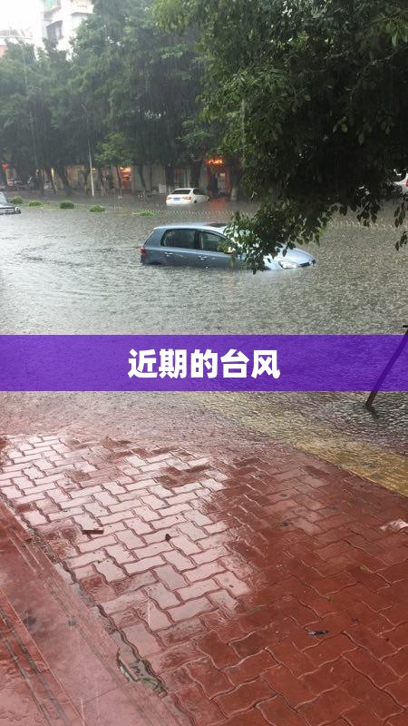 近期的台风