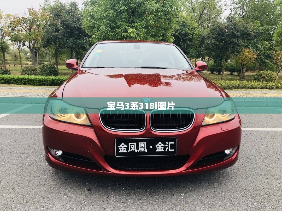 【宝马3系318i图片,宝马3系318i多少钱落地】