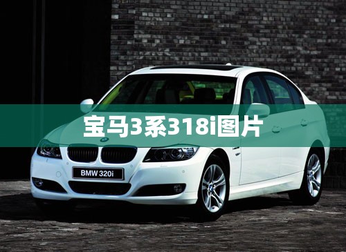 【宝马3系318i图片,宝马3系318i多少钱落地】