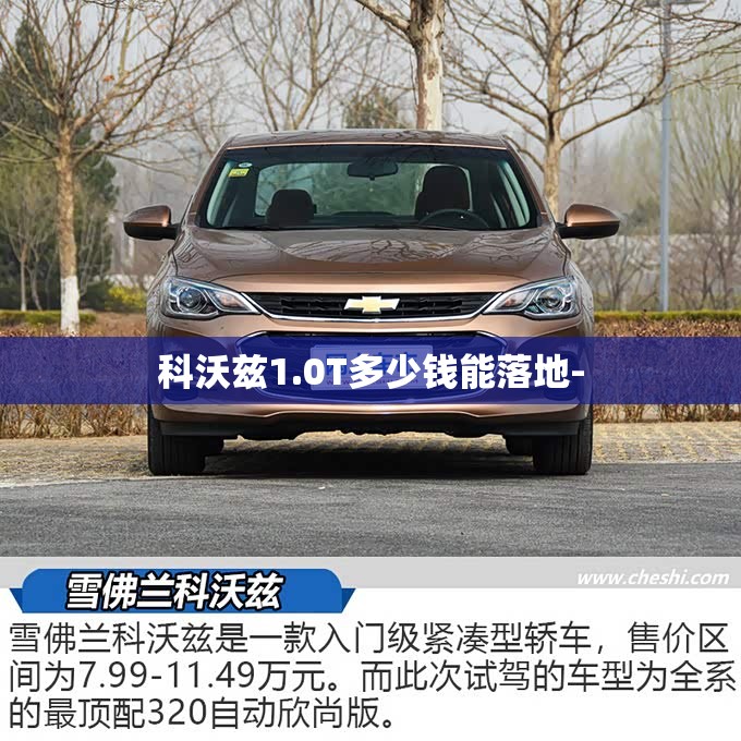 在天津滨海买宝马3系车有补贴吗