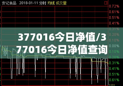 377016今日净值/377016今日净值查询最新消息