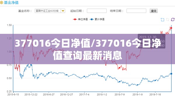377016今日净值/377016今日净值查询最新消息