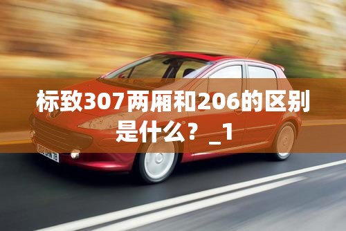 标致307两厢和206的区别是什么？_1