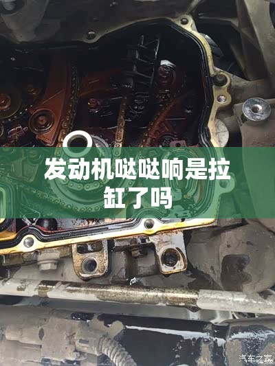 请帮忙查询以下时间石家庄的天气情况（详细天气状况）