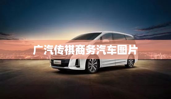 【广汽传祺商务汽车图片,广汽传祺商务汽车图片大全】