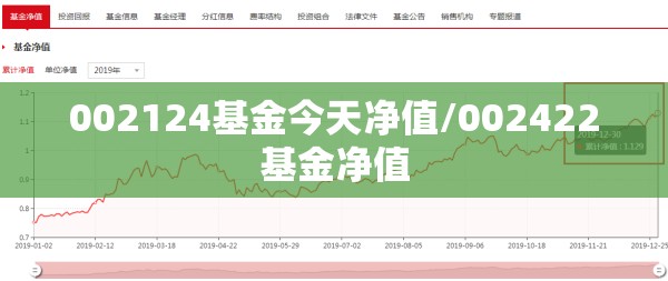 股票300603/股票300601