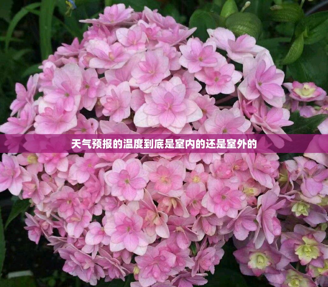 【南阳市天气预报七天,南阳天气7天天气】