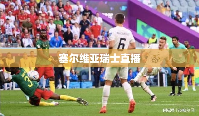 塞尔维亚瑞士直播(塞尔维亚vs瑞士)