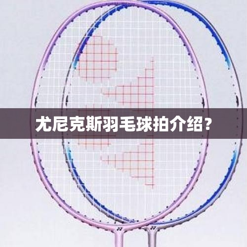 从哈尔滨到大连的长兴岛怎么走（开车）我在线等答案！！