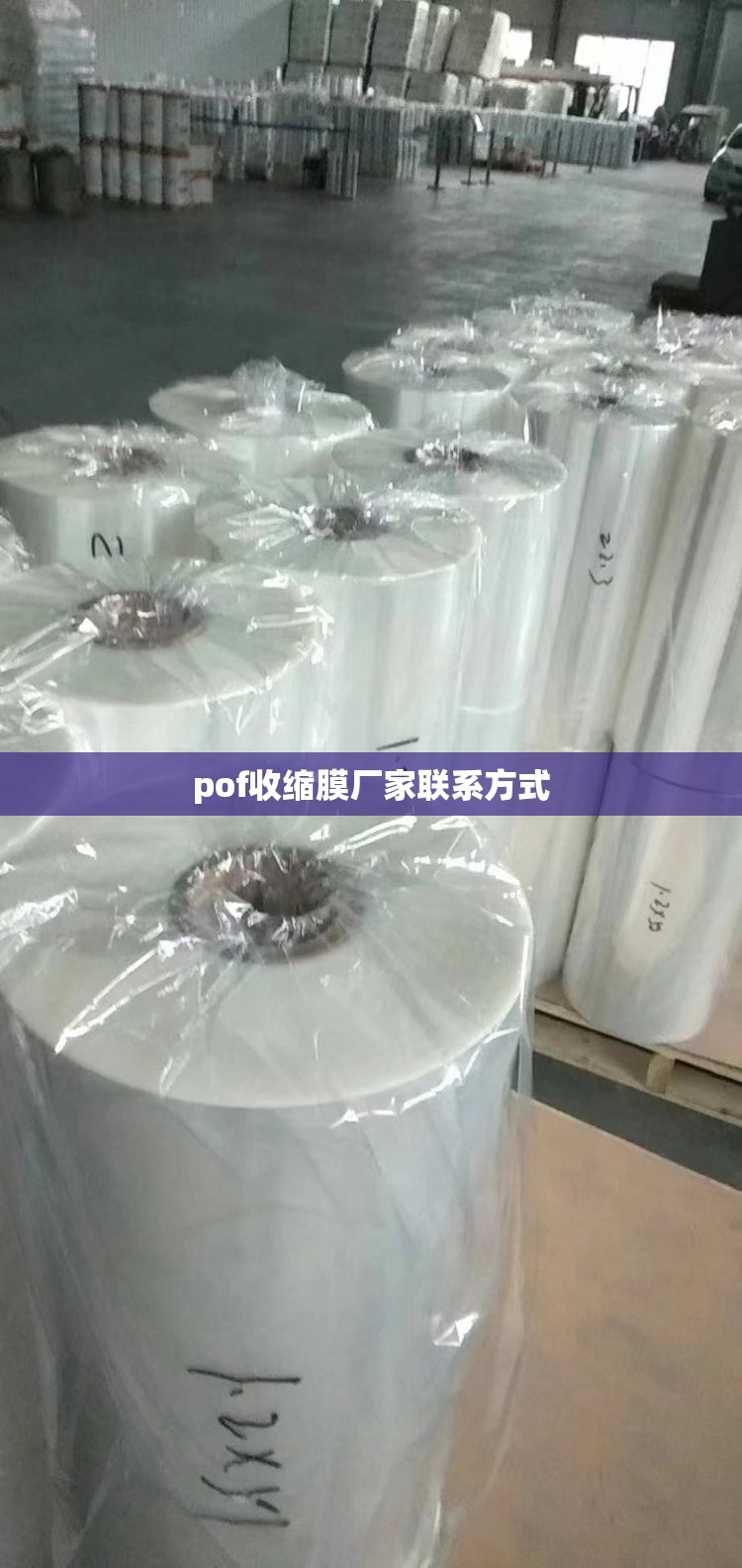 长城汽车8月销量是多少？