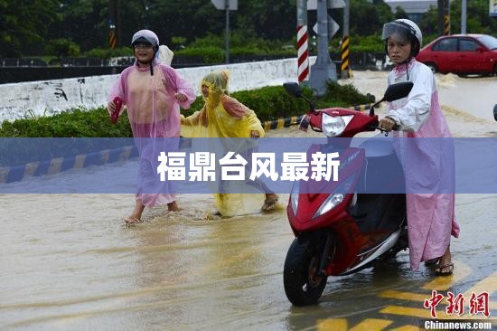 长城汽车8月销量是多少？