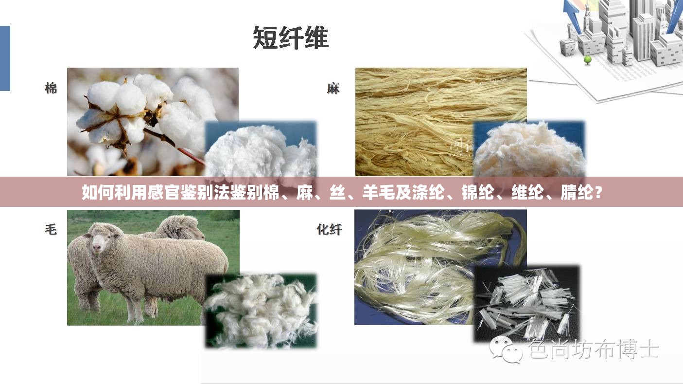 如何利用感官鉴别法鉴别棉、麻	、丝、羊毛及涤纶、锦纶	、维纶、腈纶？