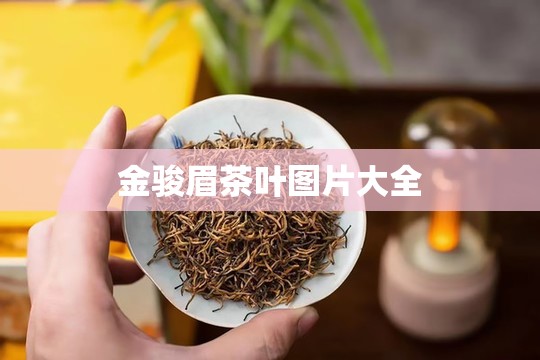 斯柯达的明锐怎么样的-