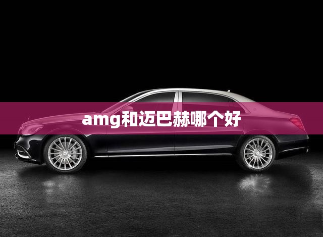 amg和迈巴赫哪个好/奔驰迈巴赫与amg区别 amg和迈巴赫哪个好/奔驰迈巴赫与amg区别